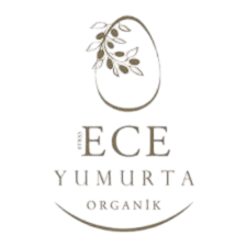 Adsız tasarım (11)